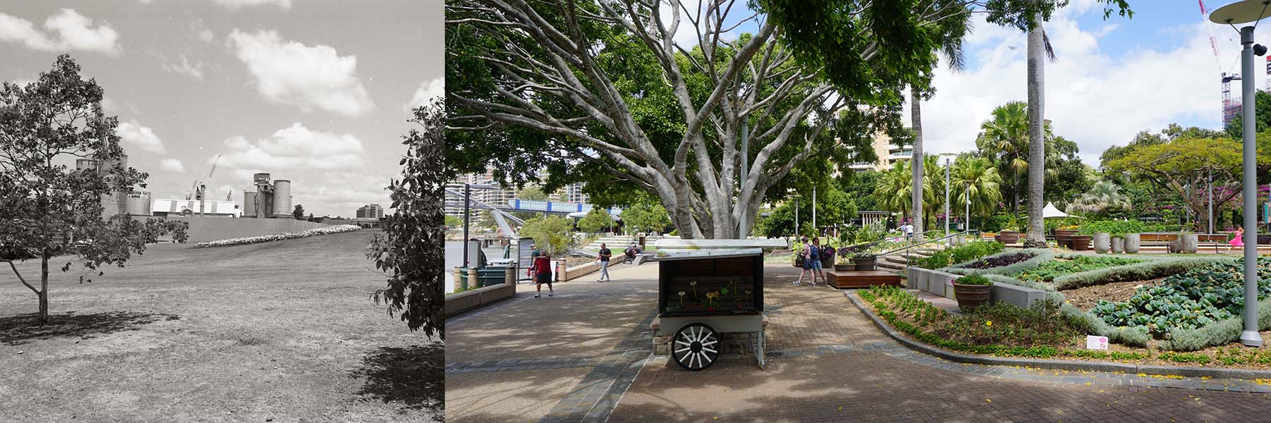 Clem Jones Gardens (From Stanley Street) 1982 and 2015